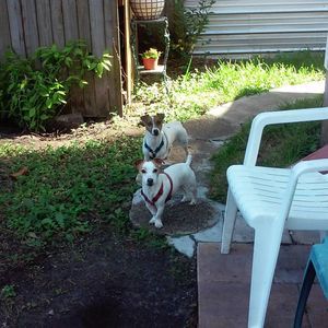 Meet your Posher, Michele